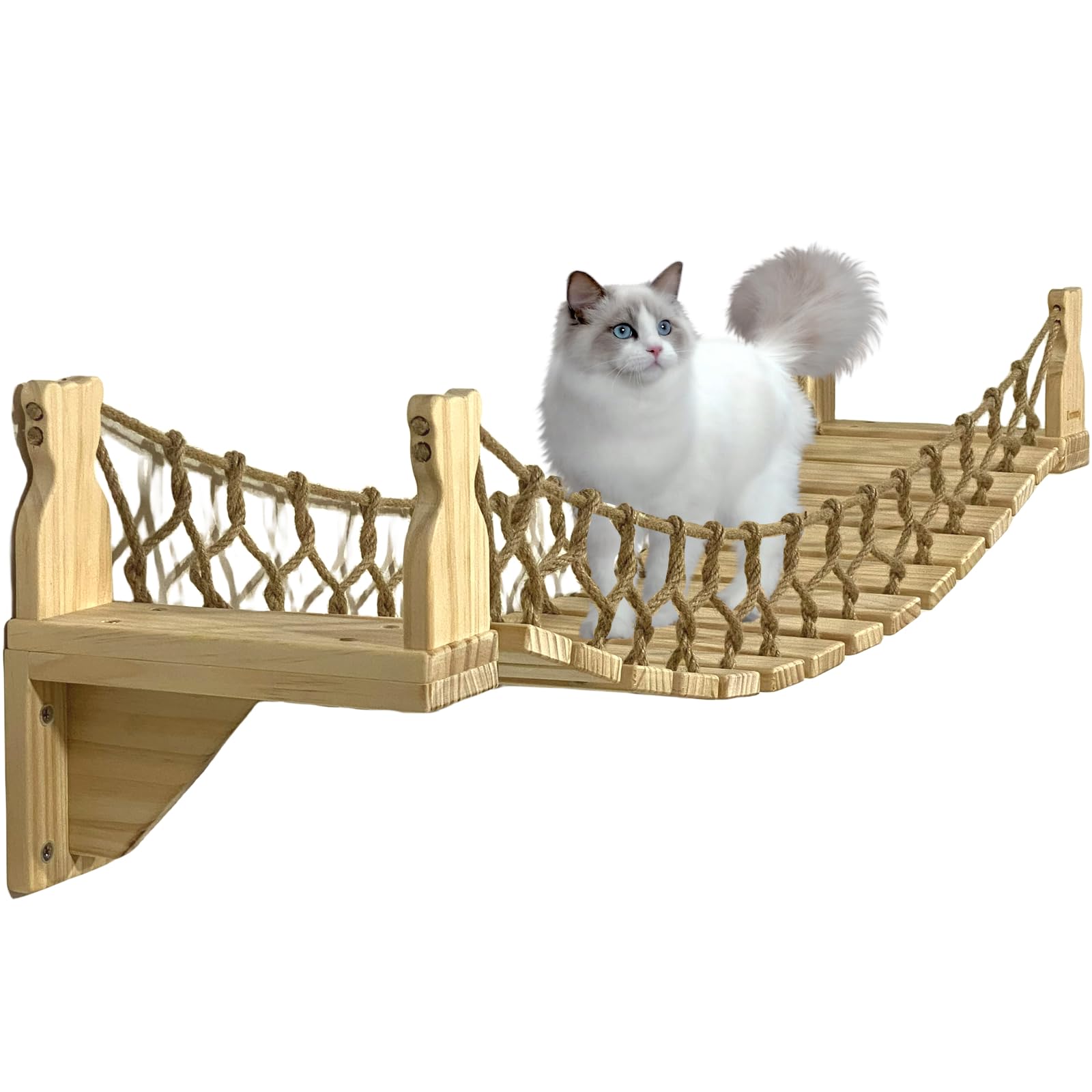 ClawVenture -Cat Bridge