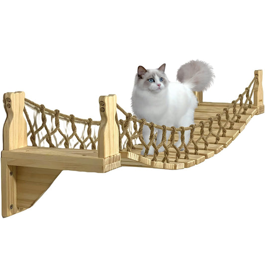 ClawVenture -Cat Bridge