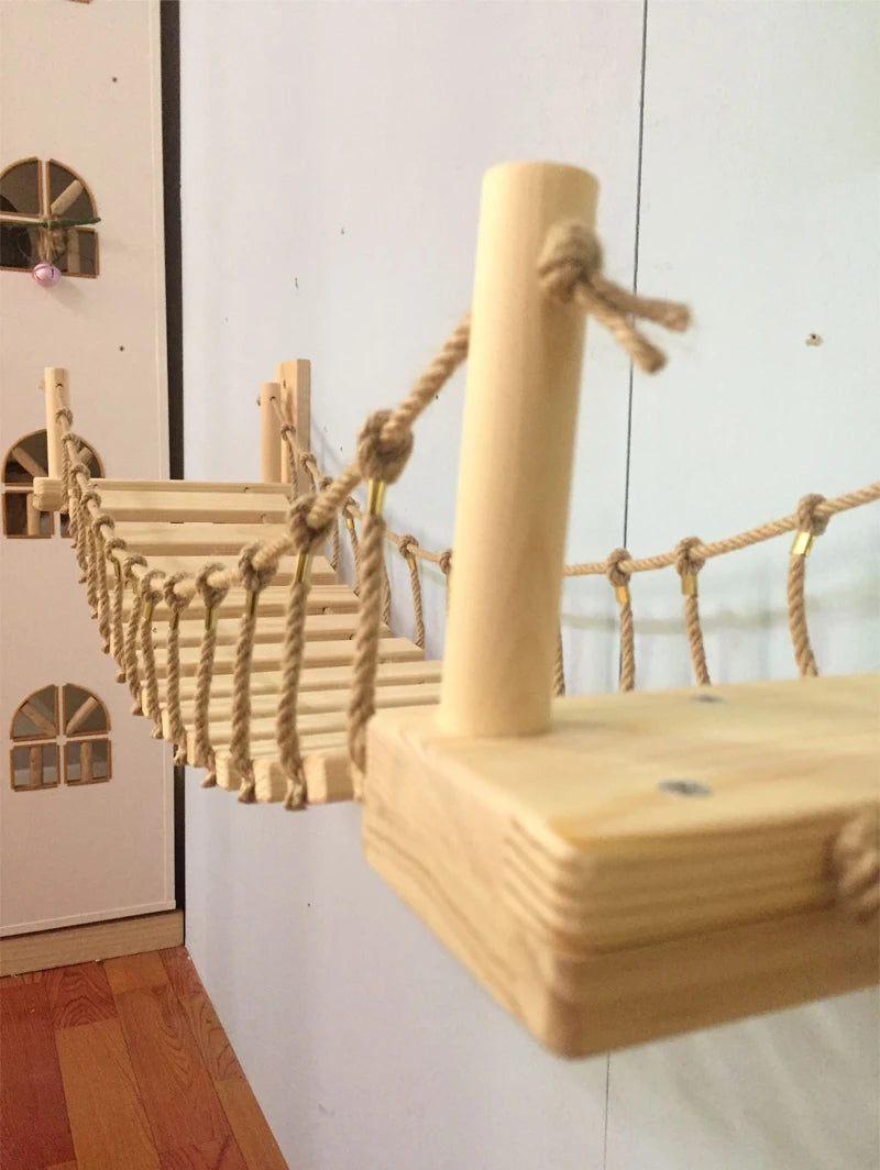 ClawVenture -Cat Bridge