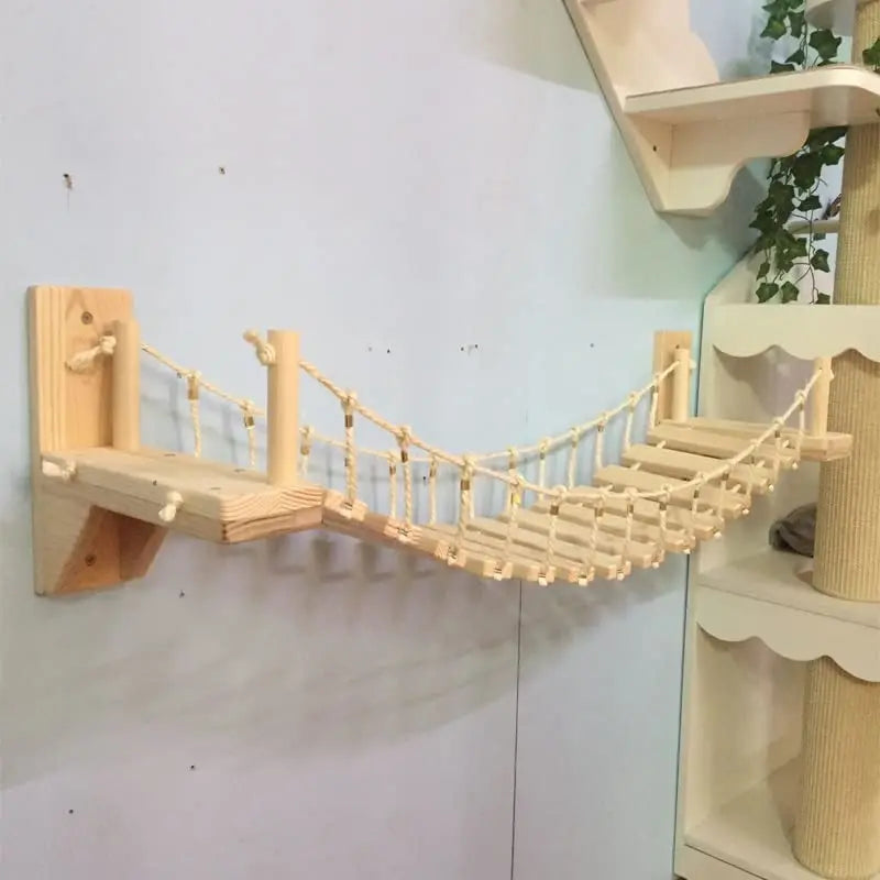 ClawVenture -Cat Bridge