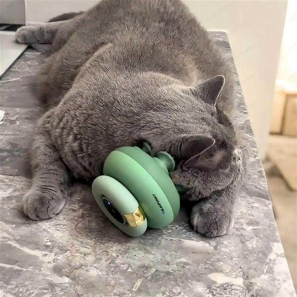 MeowMasseur™