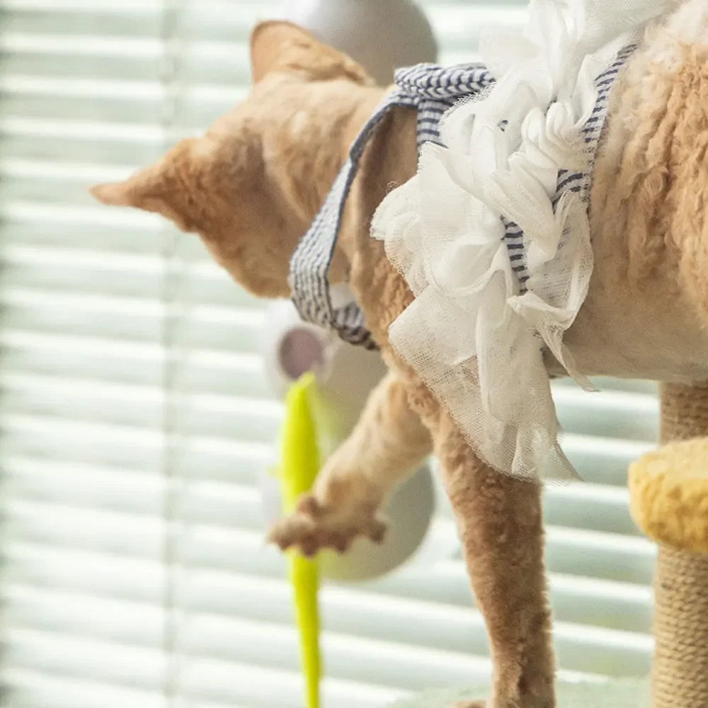 CattiPillar™