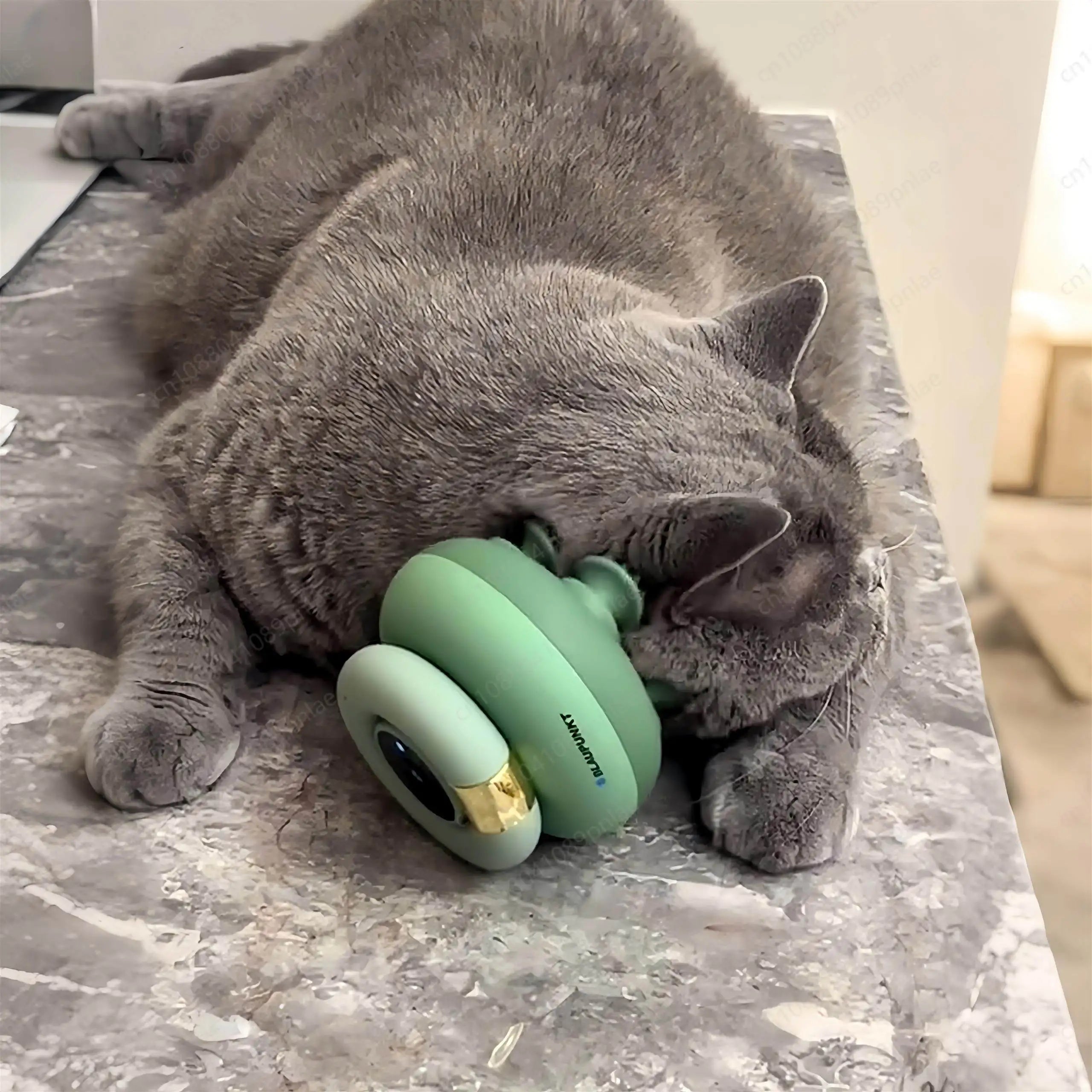 MeowMasseur™