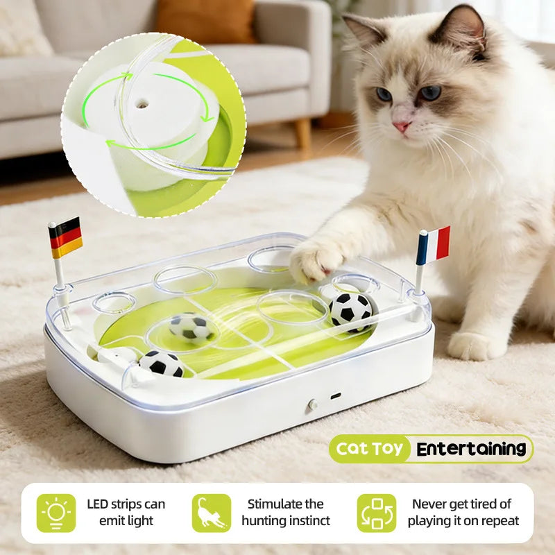 The Purrfect Pitch