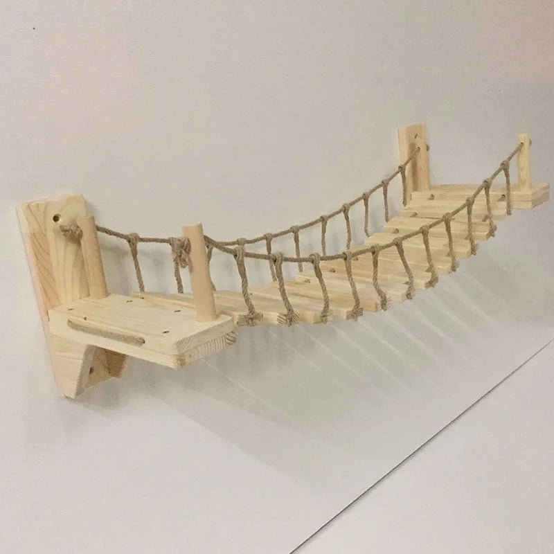 ClawVenture -Cat Bridge