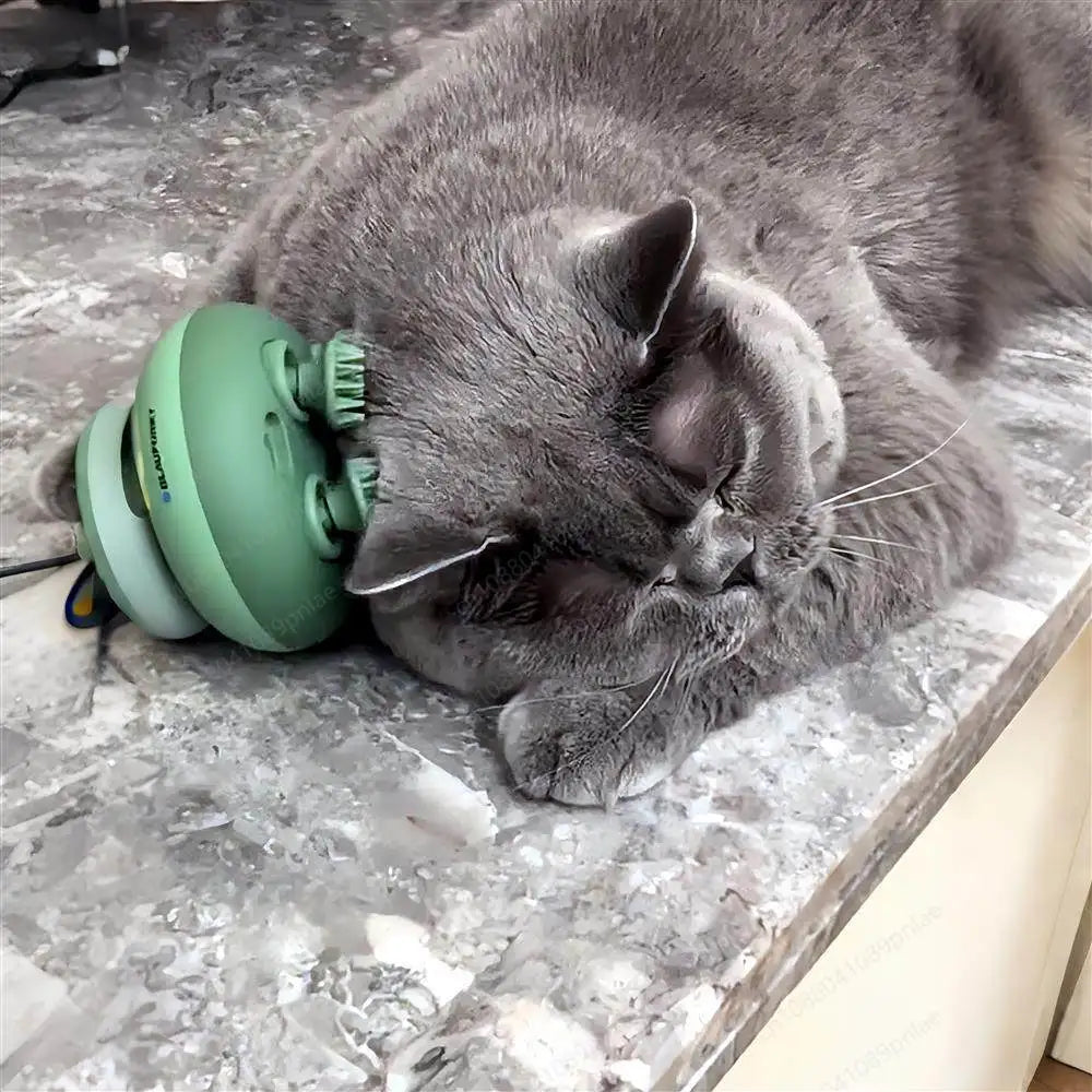 MeowMasseur™