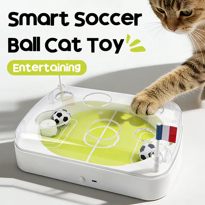 The Purrfect Pitch