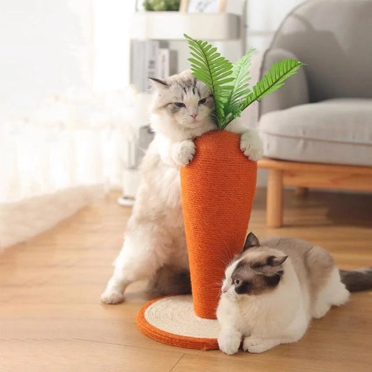CarrotPaws