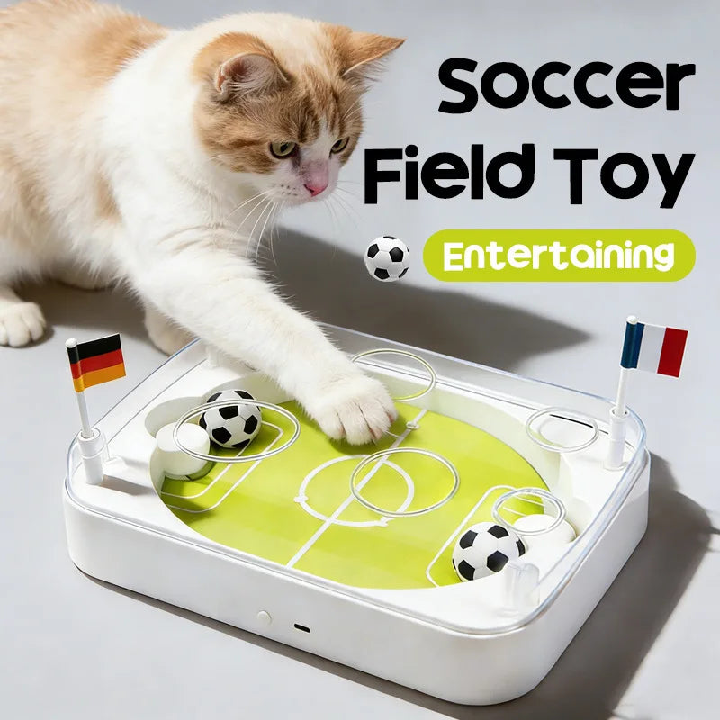 The Purrfect Pitch