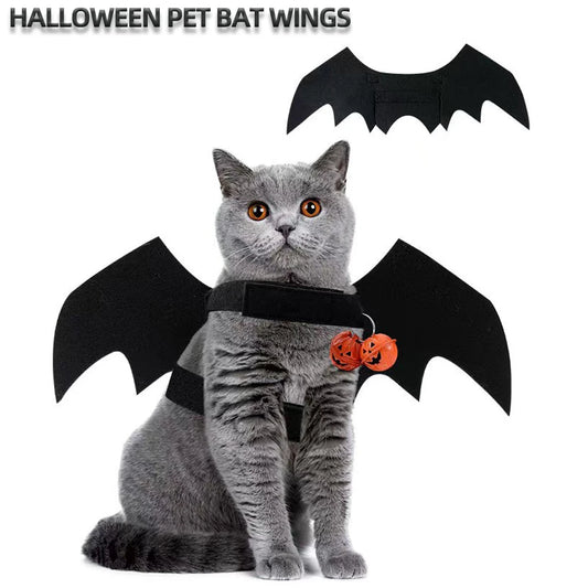 Cat Bat Wings