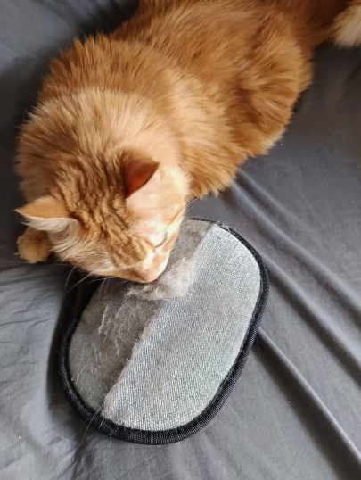 ShedMate™ Cat Grooming Glove