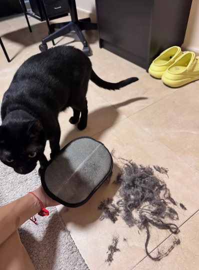 ShedMate™ Cat Grooming Glove