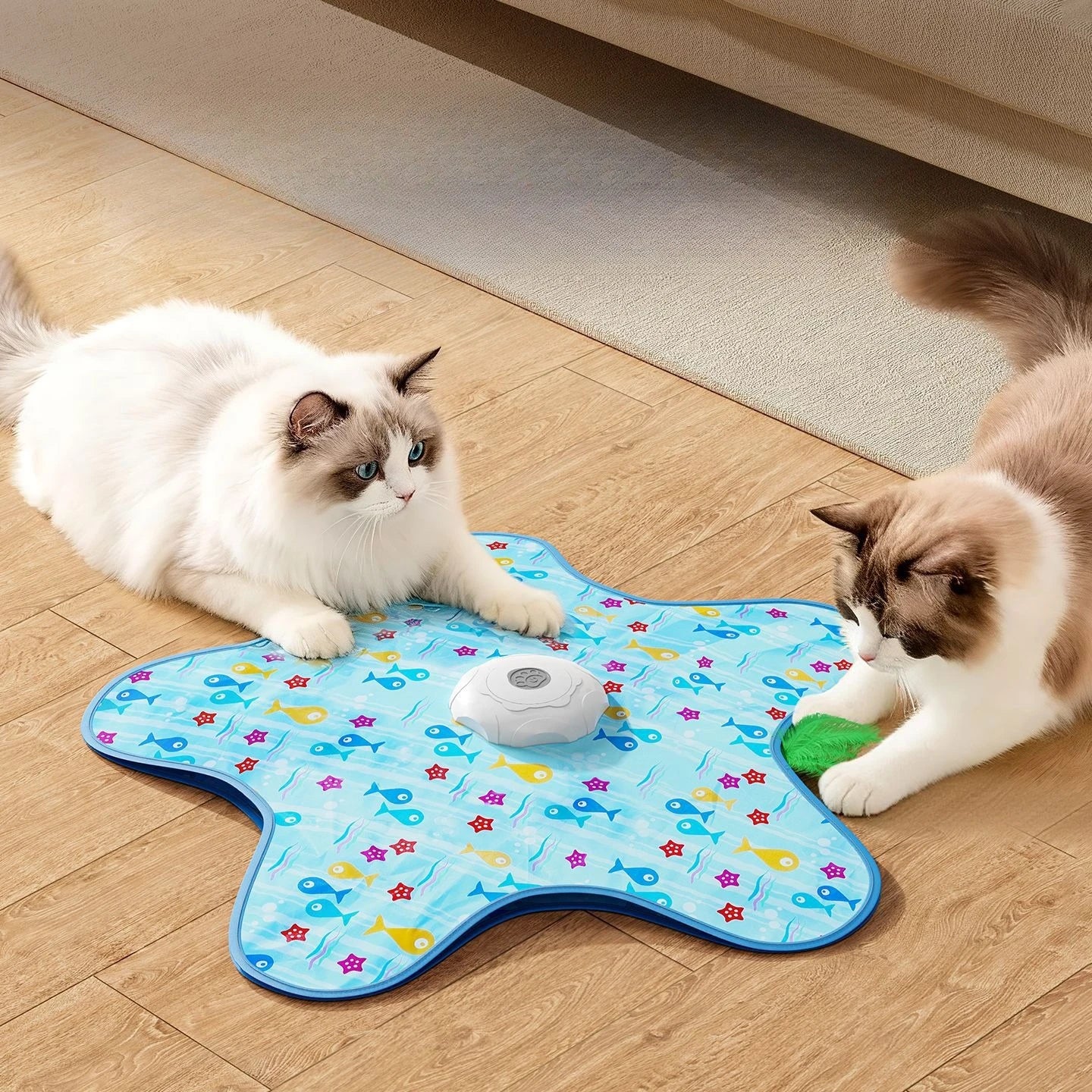 PurrChase™