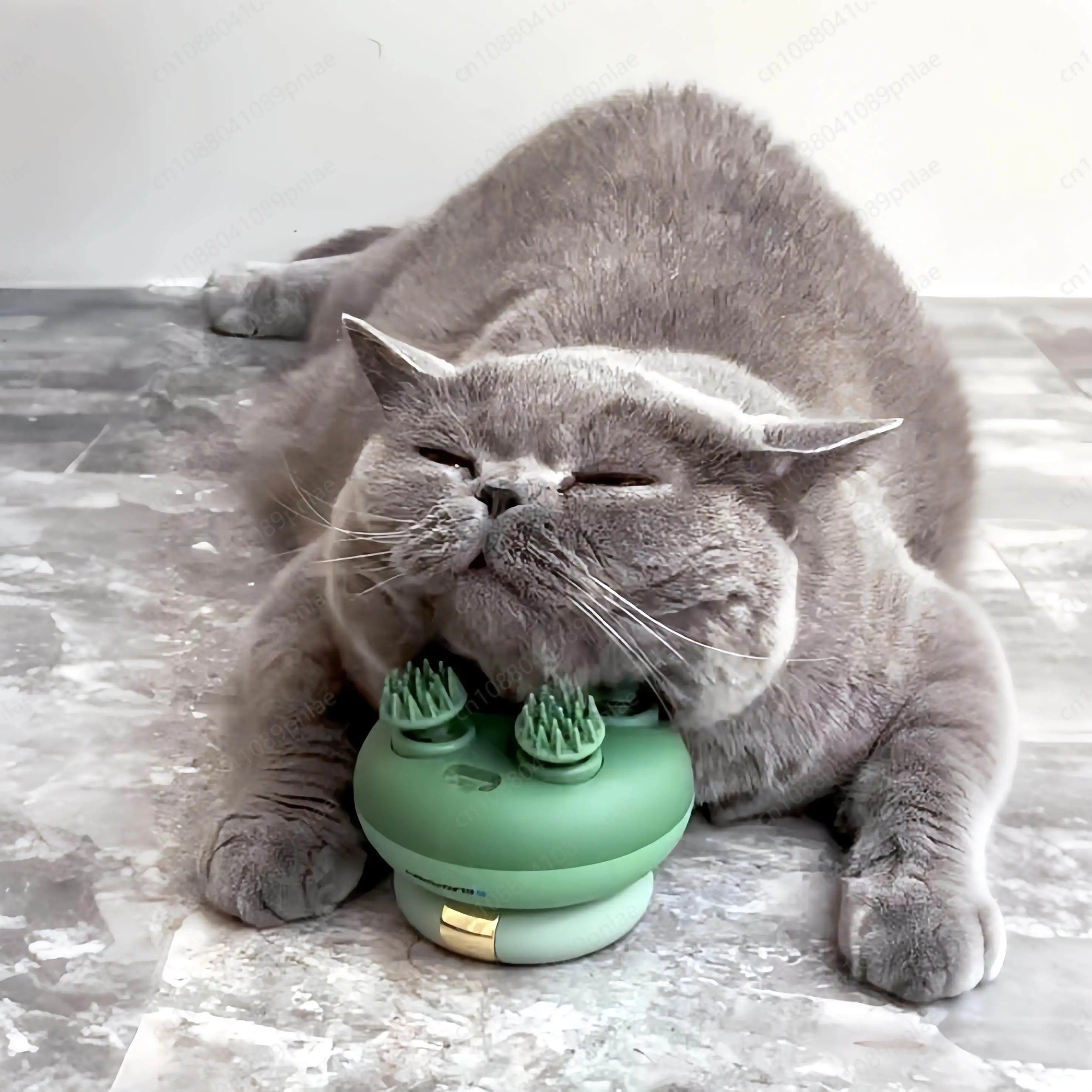 MeowMasseur™