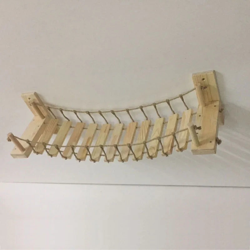 ClawVenture -Cat Bridge