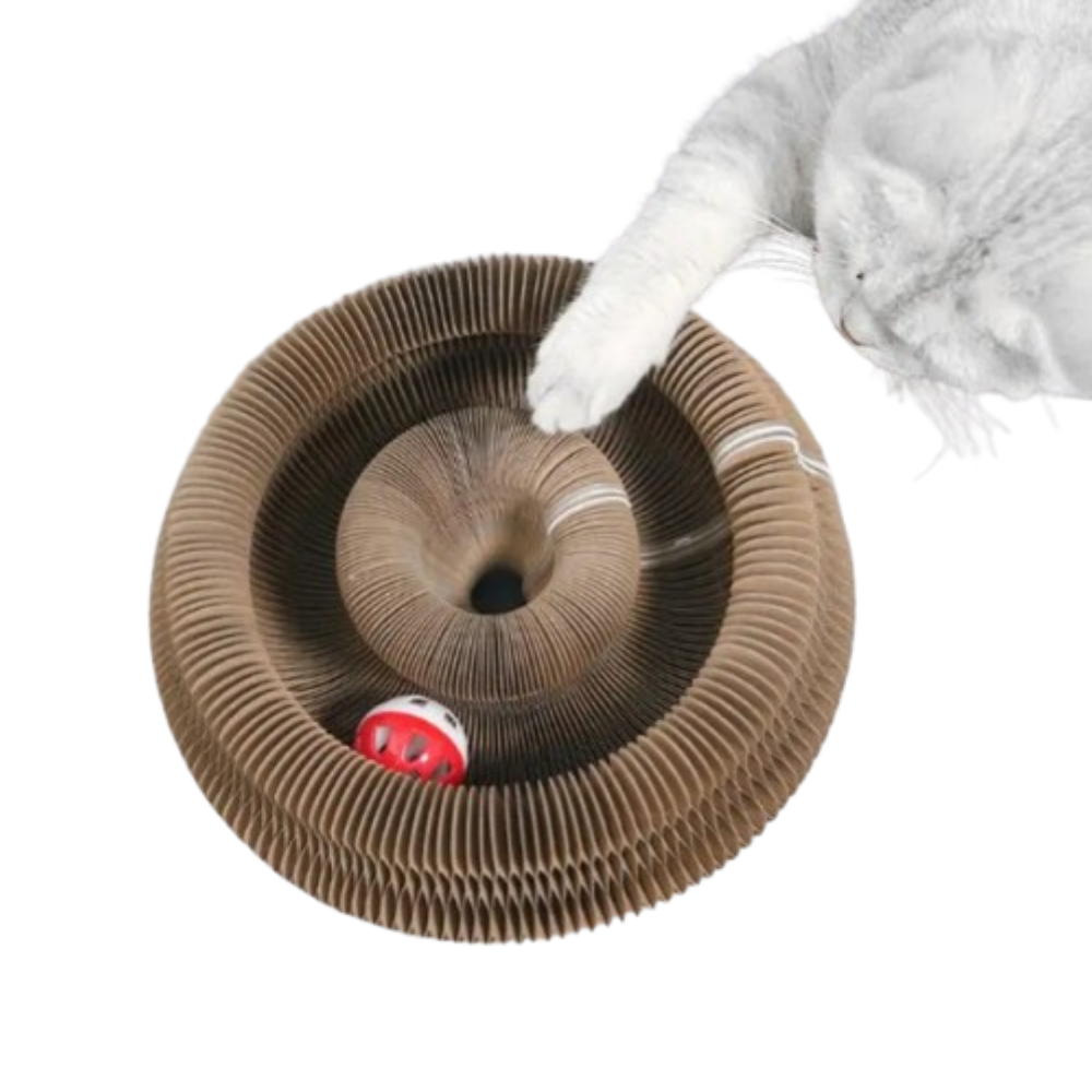 Pawccordion- Cat Toy