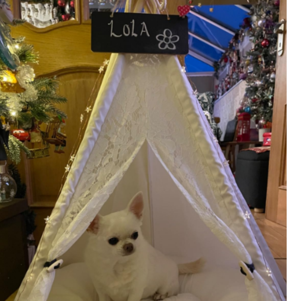 Pawsh Tent- Cat Tepee Tent