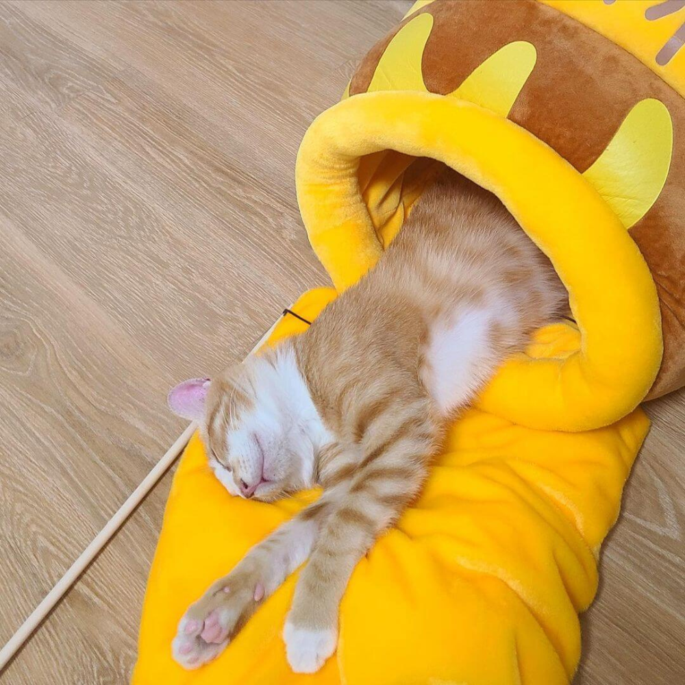 DreamPot- Honey Pot Cat Bed