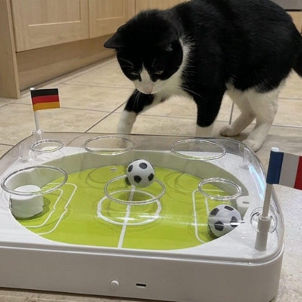 The Purrfect Pitch