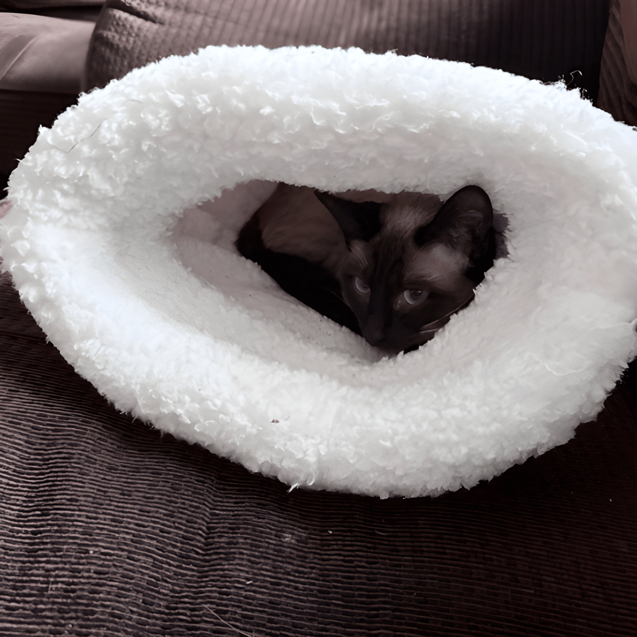 CatNap™ Cat Sleeping Bag