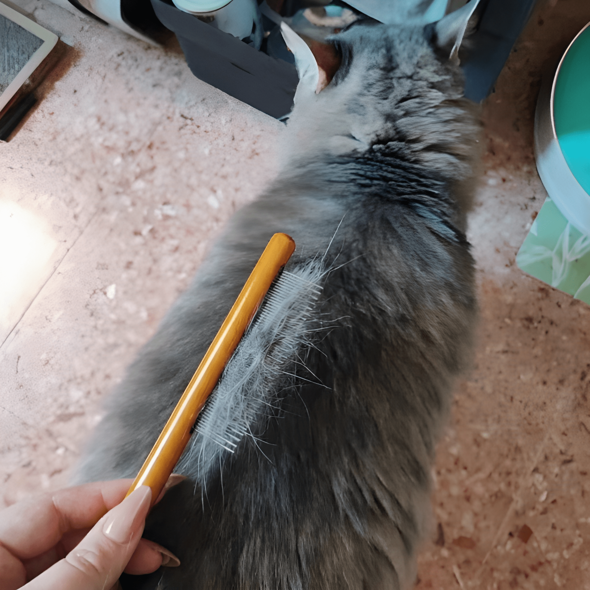 TimberTail- Cat Rounded Tip Brush