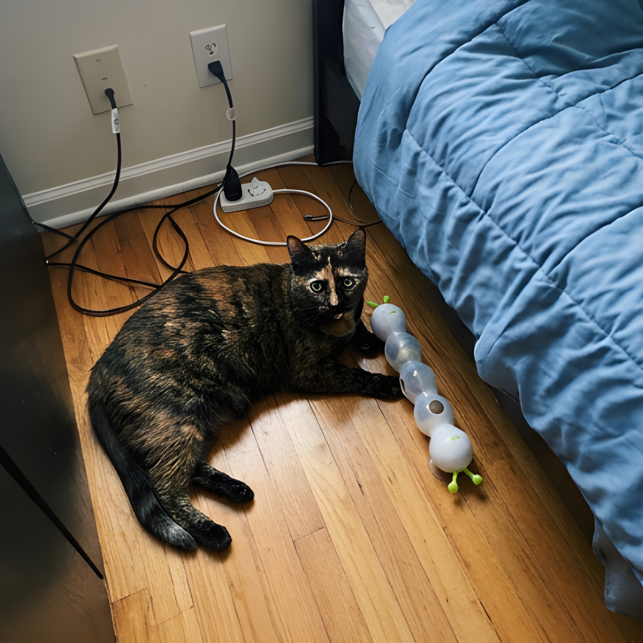 CattiPillar™
