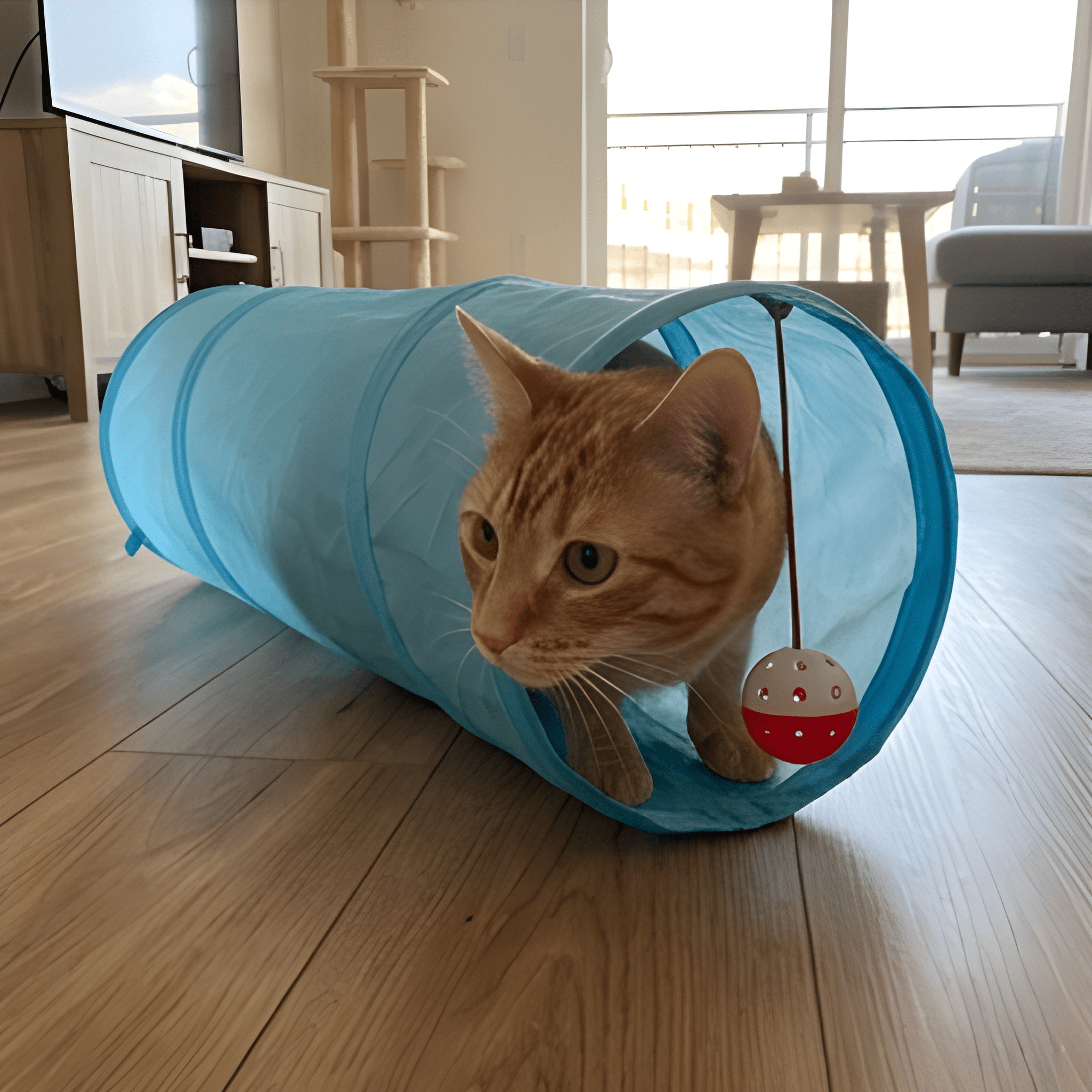 TunnelTails™