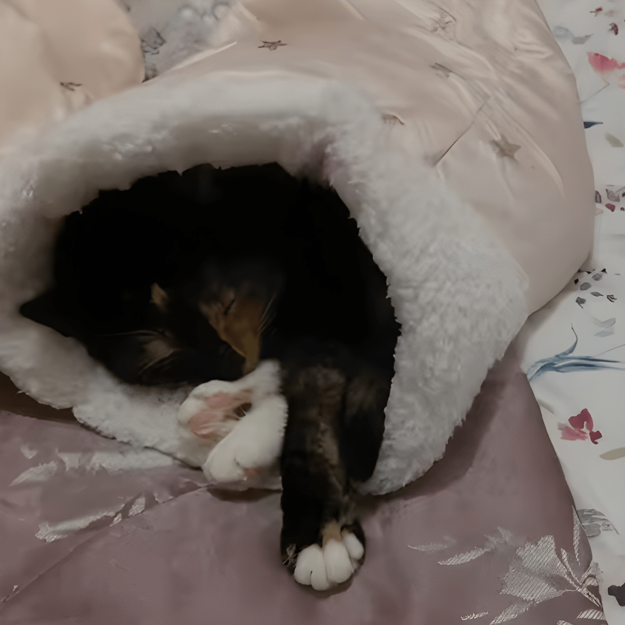 CatNap™ Cat Sleeping Bag
