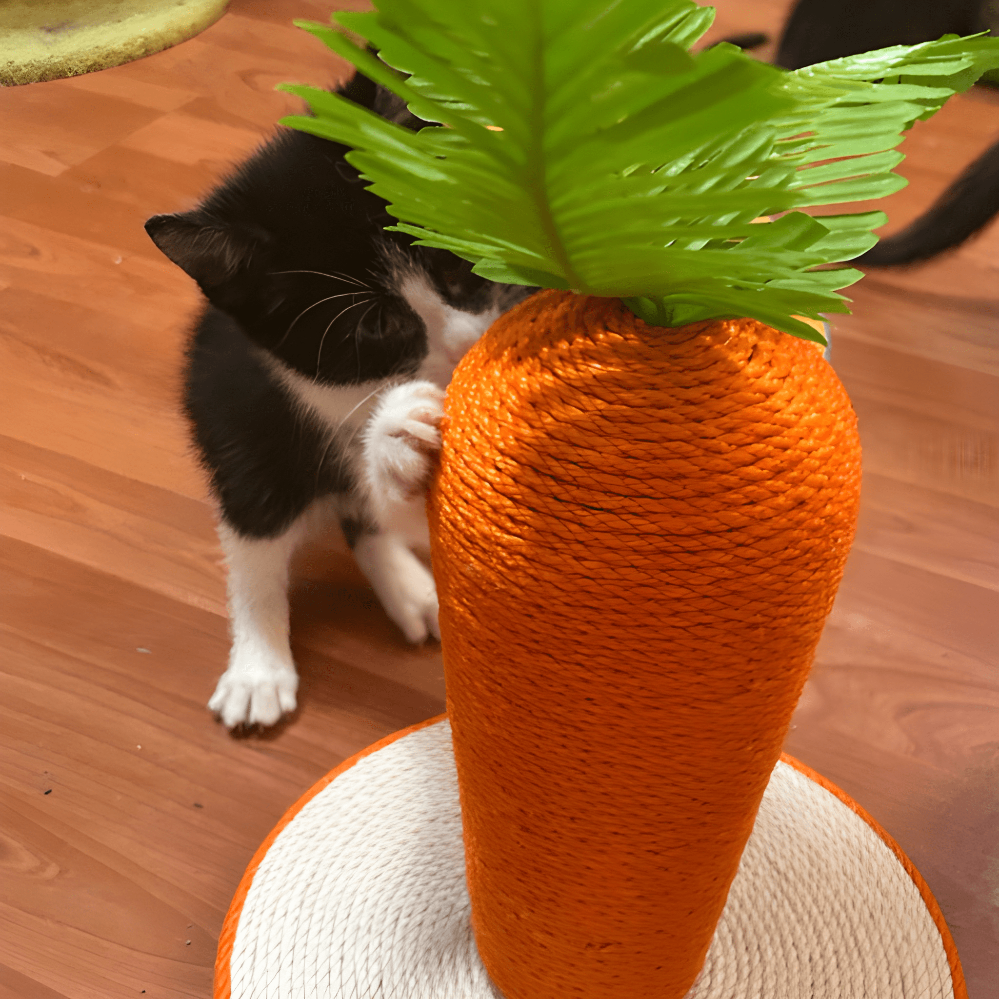 CarrotPaws- Cat Scratching Post