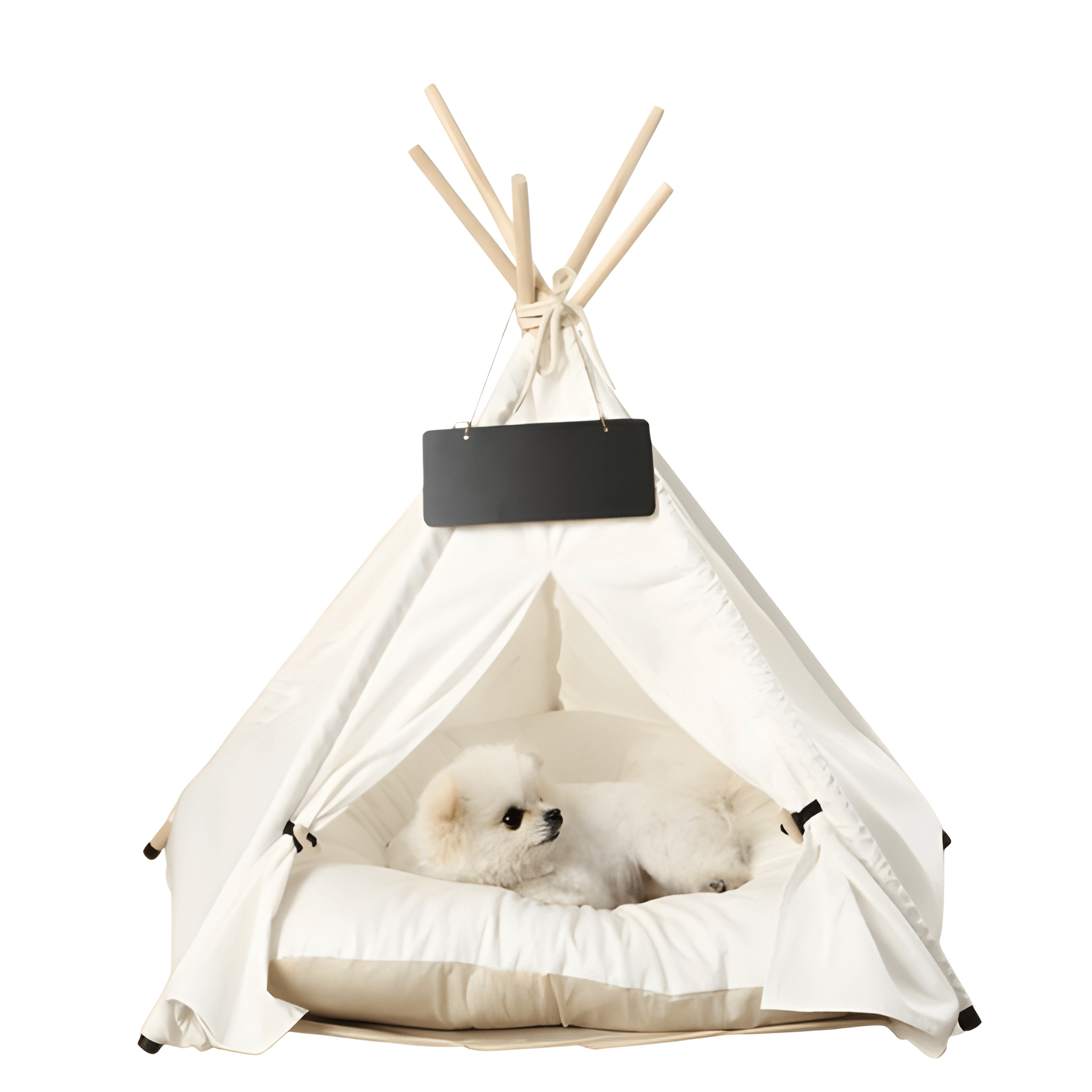 Pawsh Tent- Cat Tepee Tent
