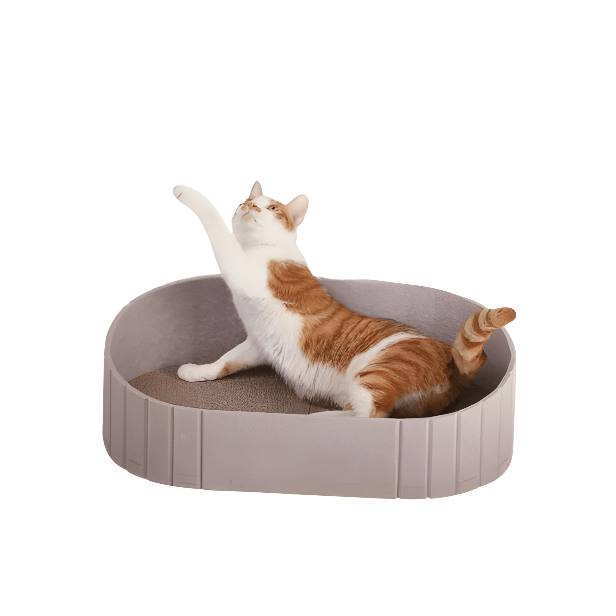 CuddleClaw- Cat Scratching Nest