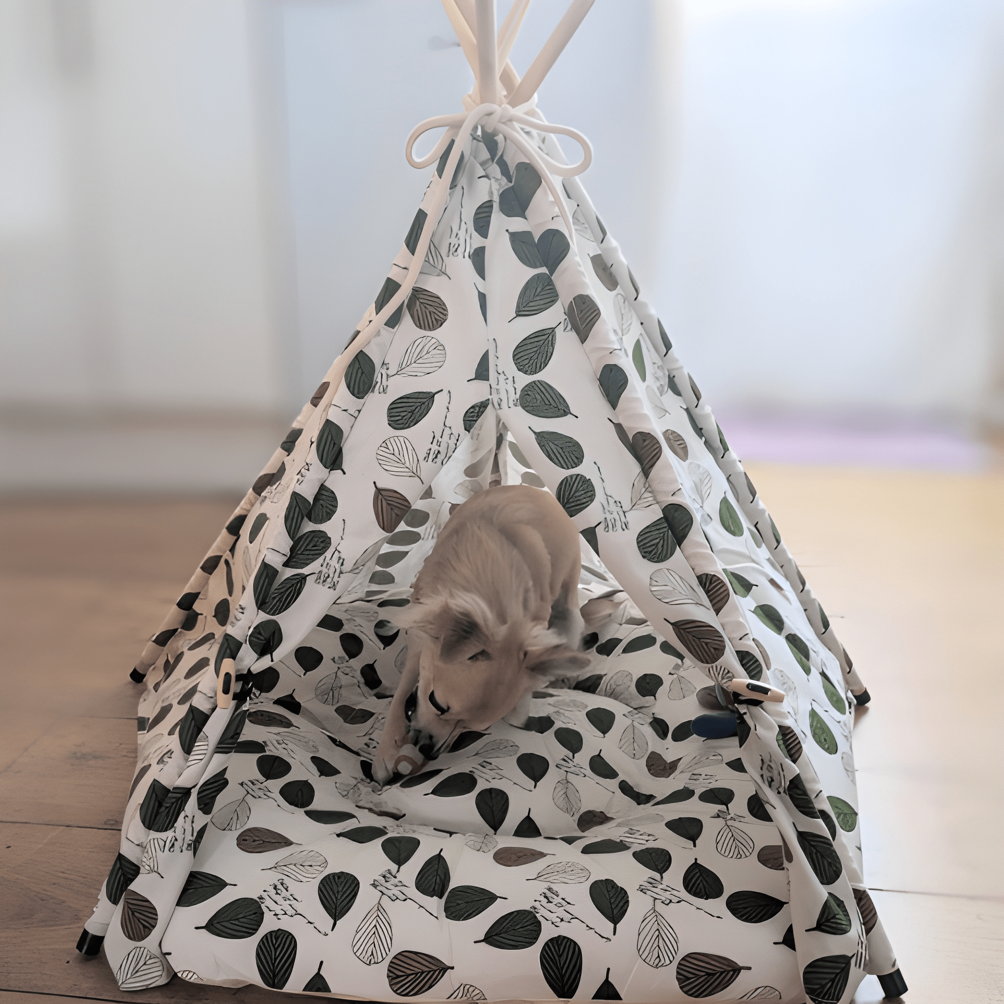 Pawsh Tent- Cat Tepee Tent