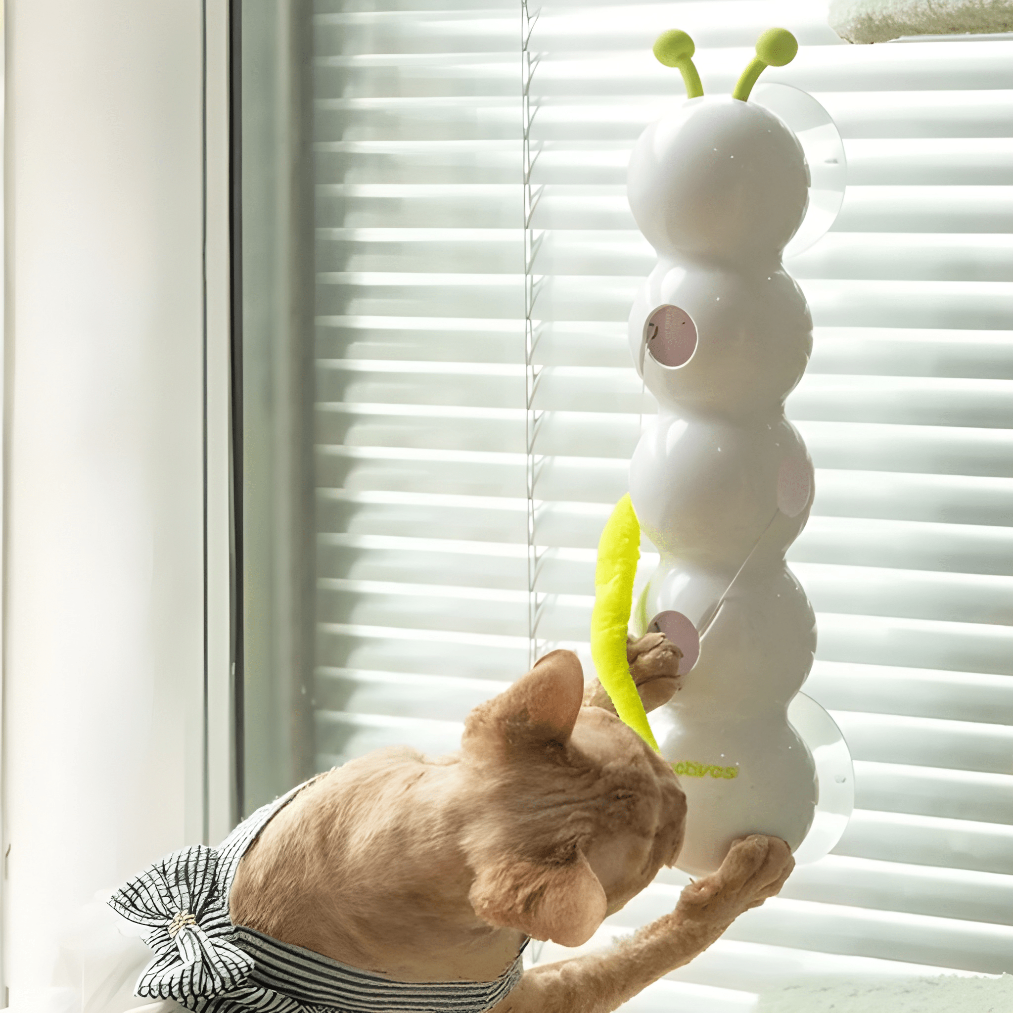 CattaPillar - Interactive Cat Toy