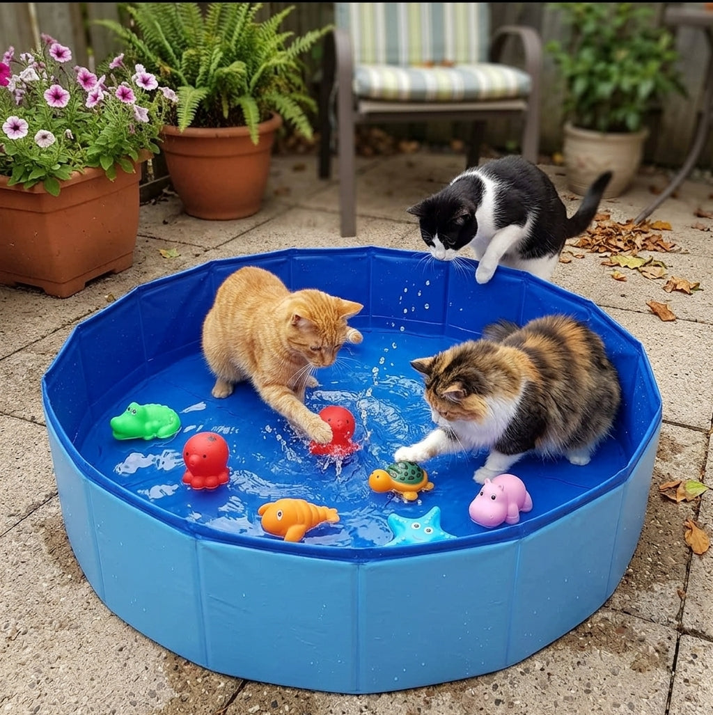 SplashyPaws