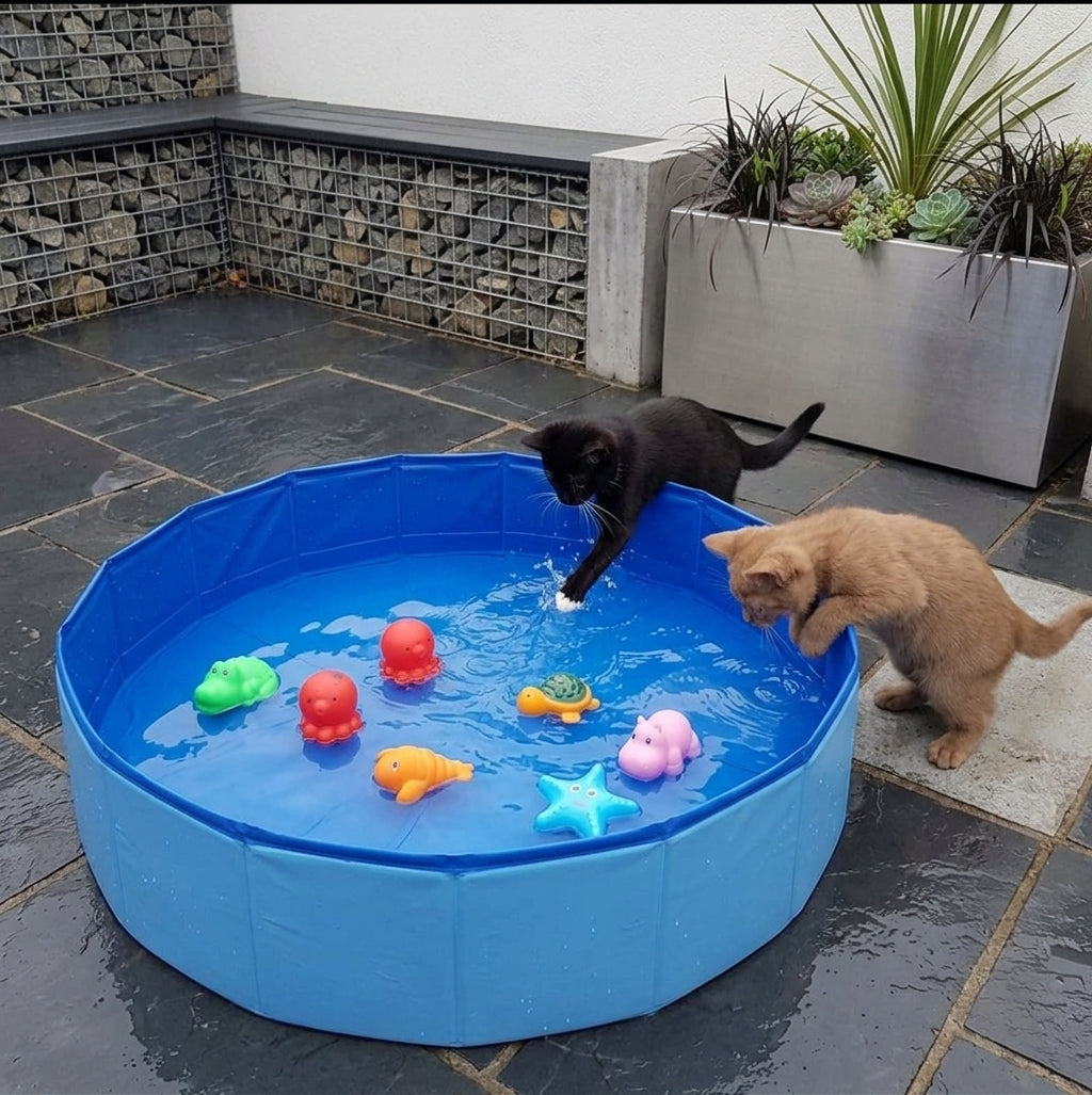 SplashyPaws