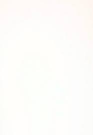 Pawsh Tent- Cat Tepee Tent