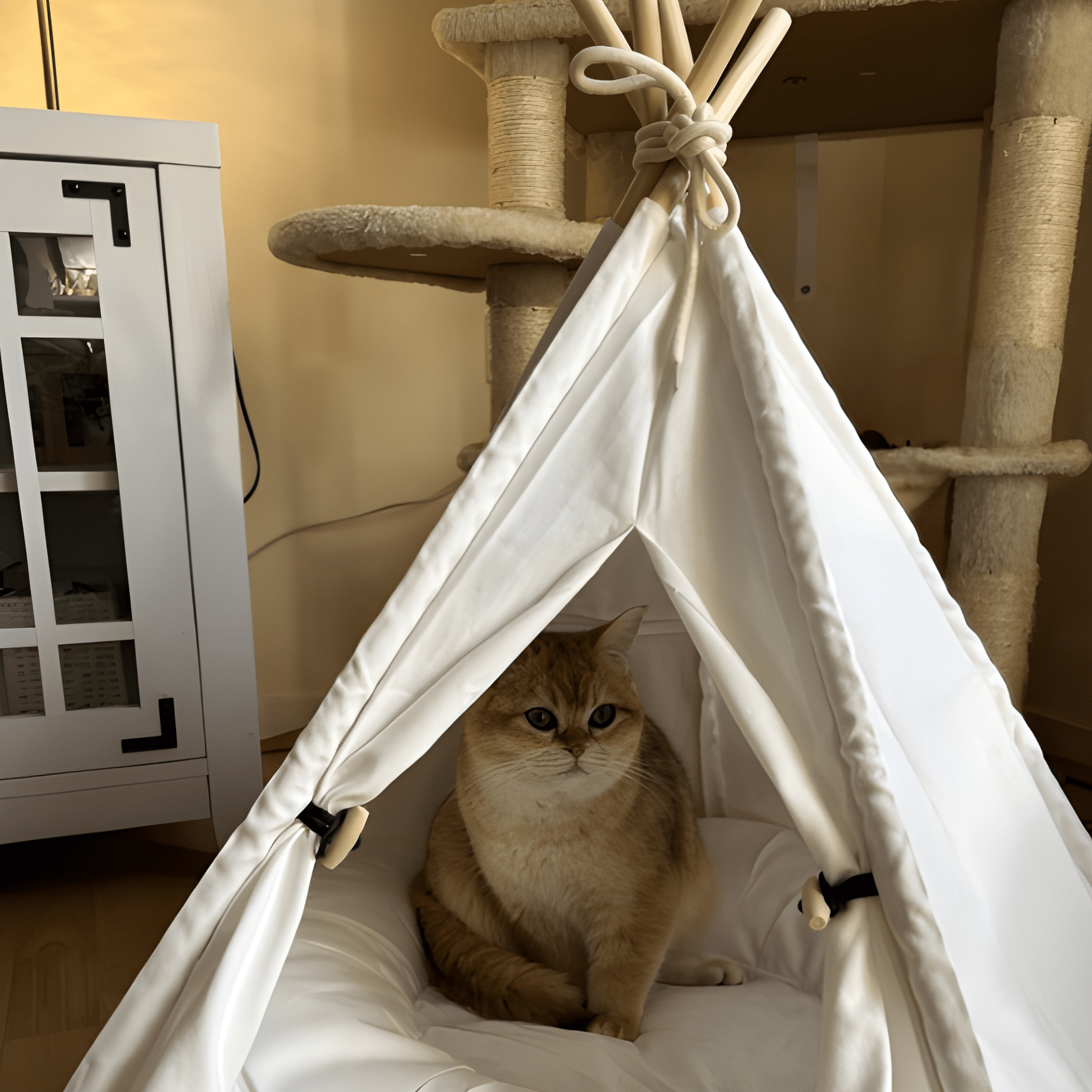 Pawsh Tent- Cat Tepee Tent