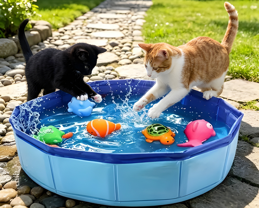 SplashyPaws