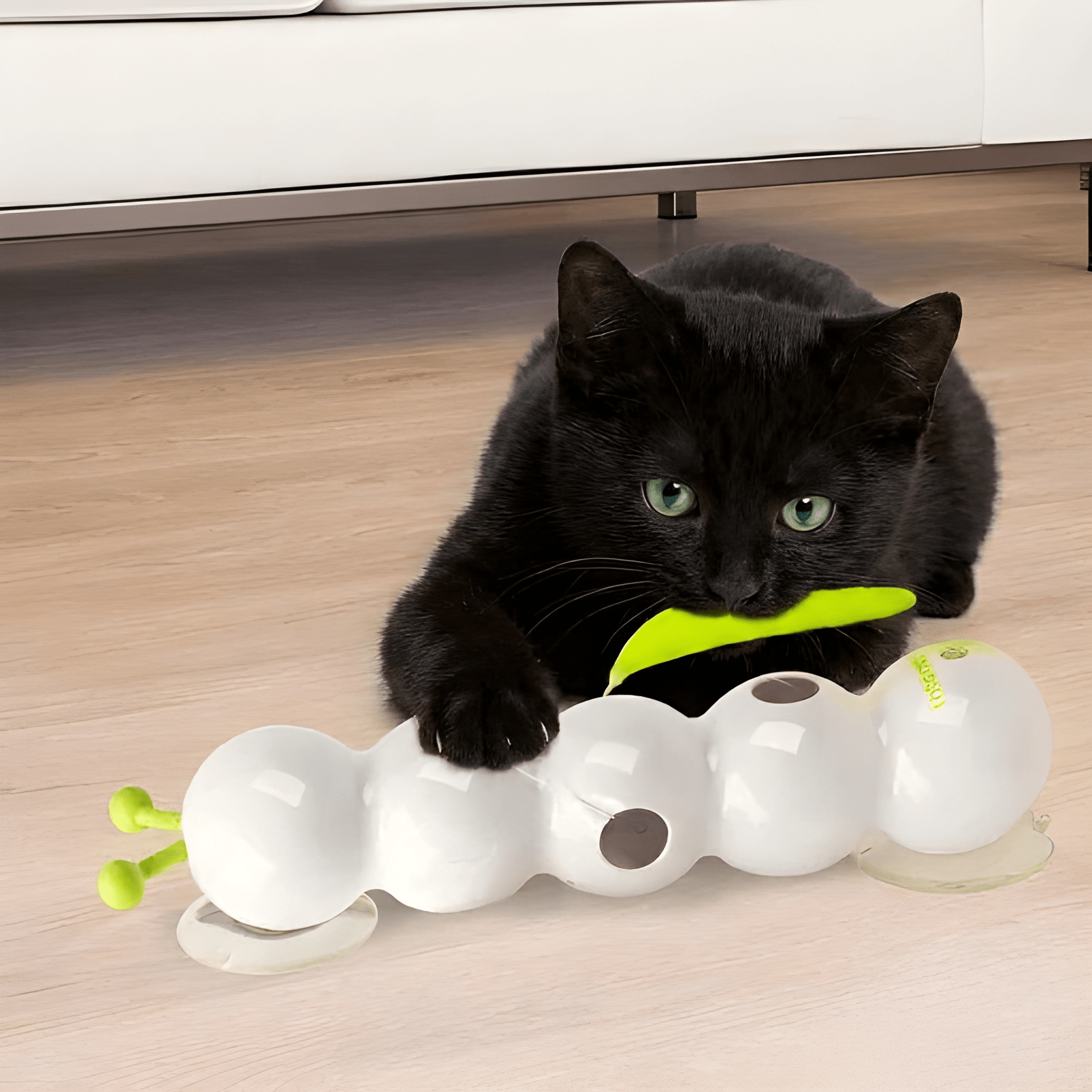 CattiPillar™
