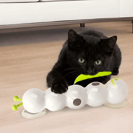 CattiPillar™
