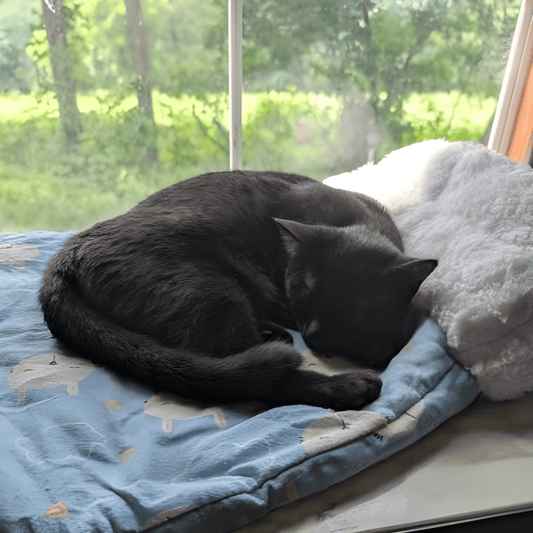 CatNap™ Cat Sleeping Bag