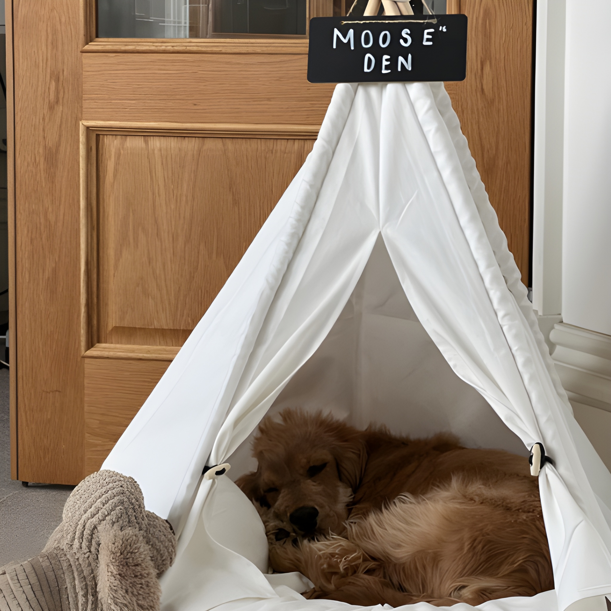 Pawsh Tent- Cat Tepee Tent