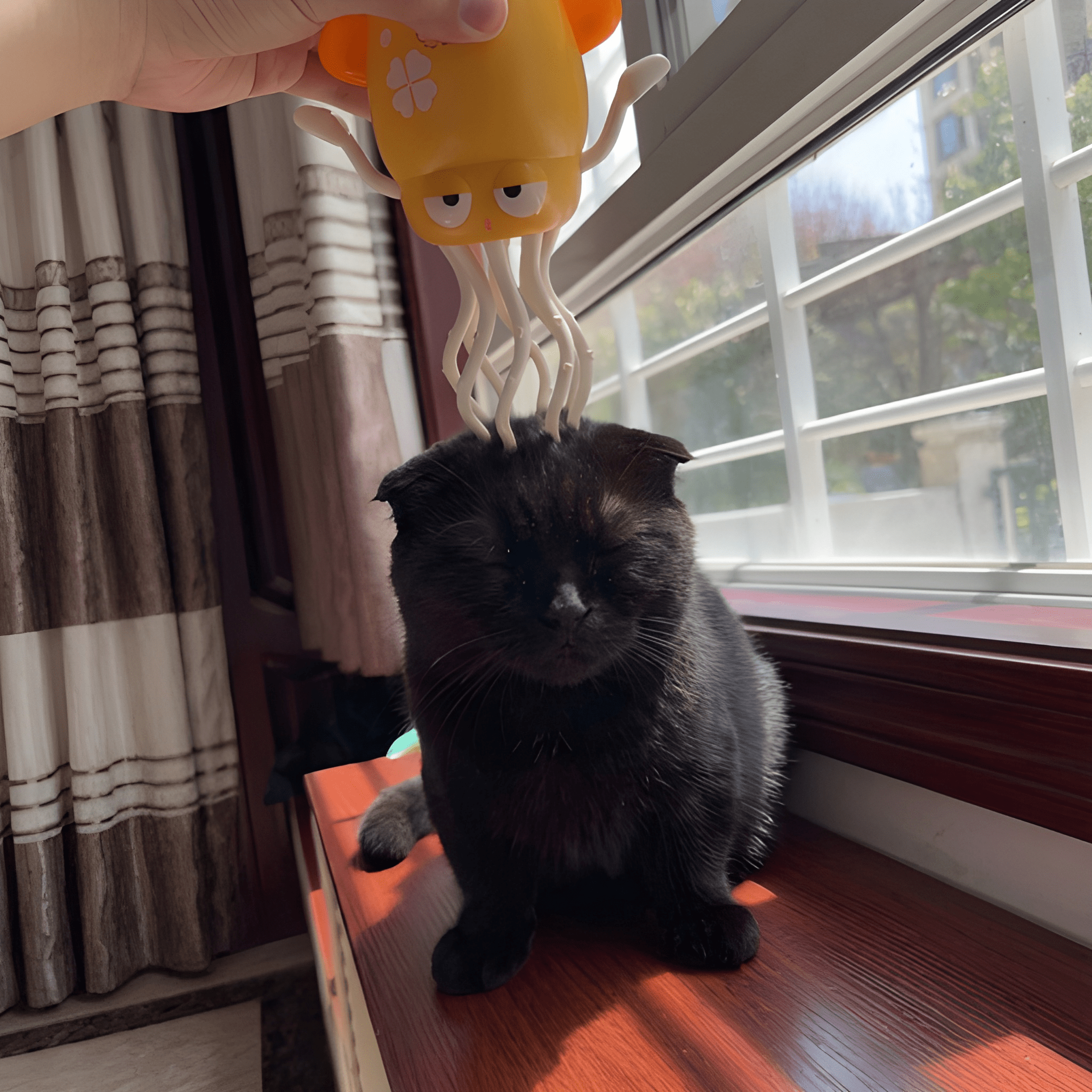 OctoPaws™