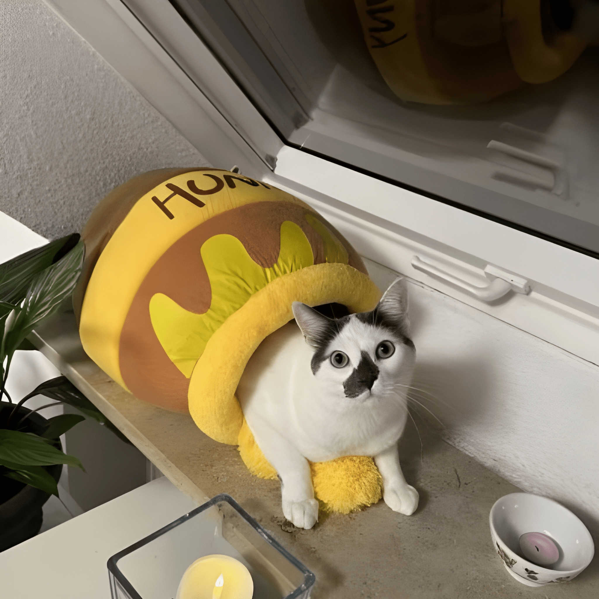 DreamPot- Honey Pot Cat Bed
