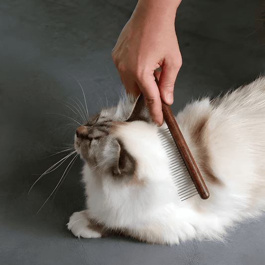 TimberTail- Cat Rounded Tip Brush