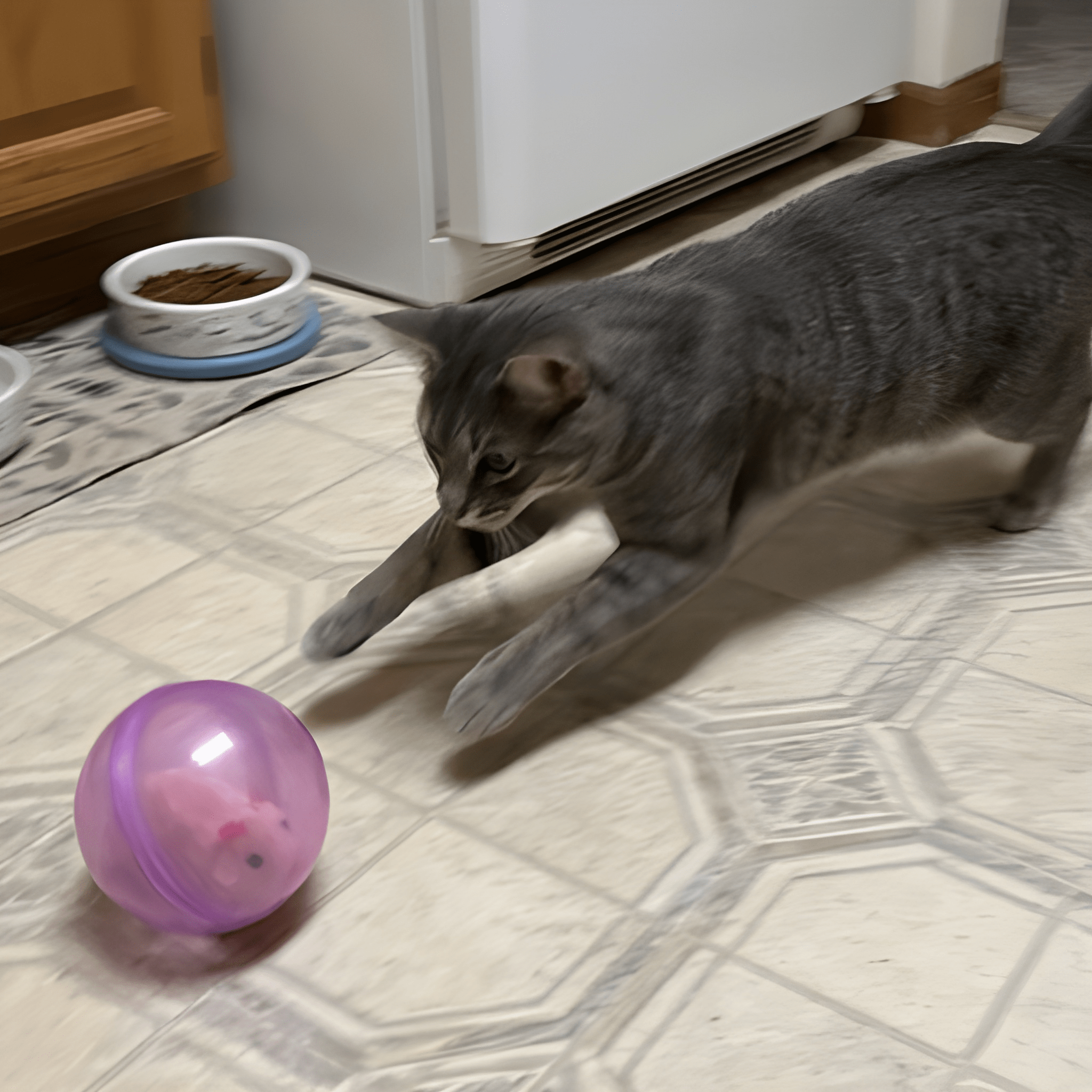 HareHunt
