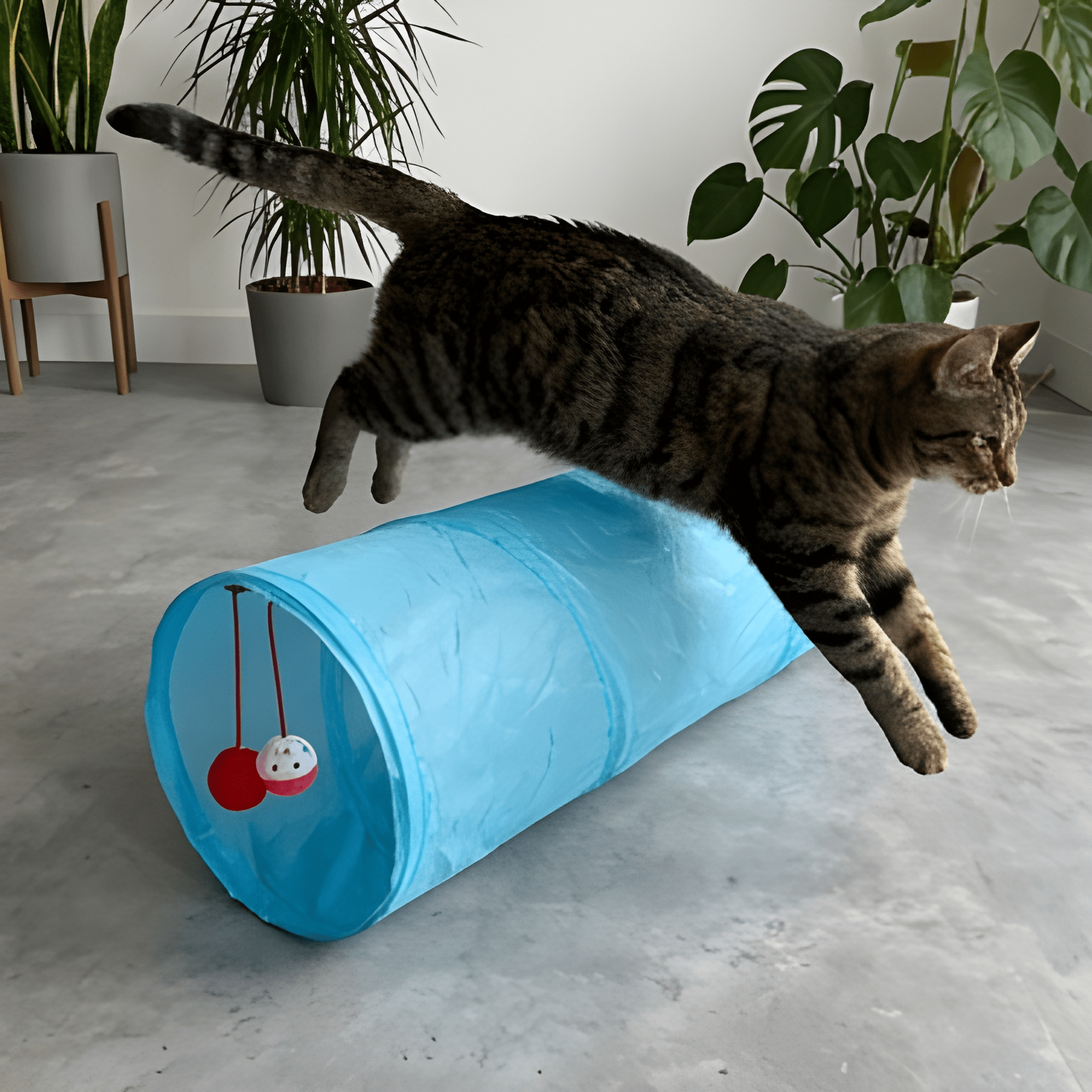 TunnelTails™