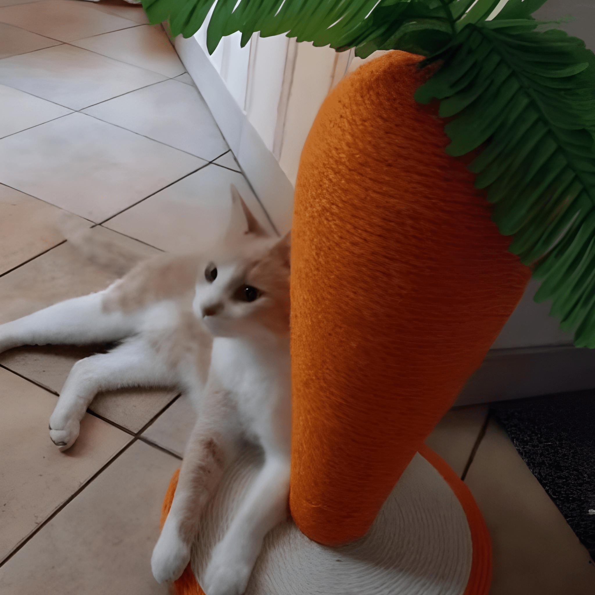 CarrotPaws- Cat Scratching Post