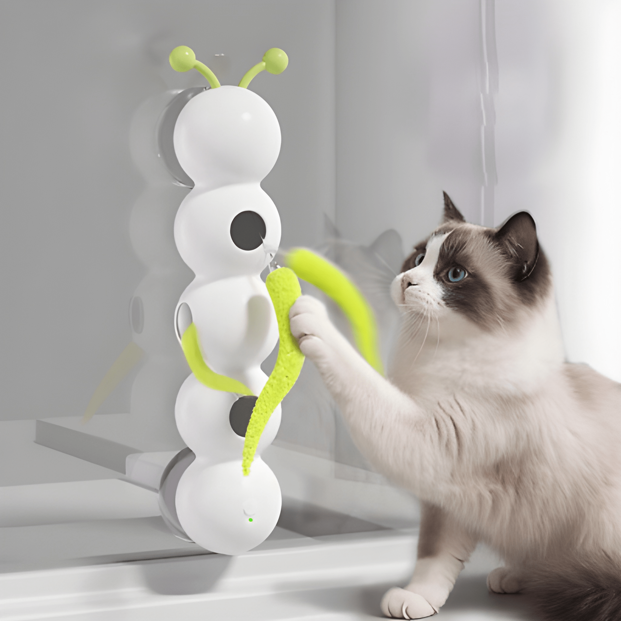 CattaPillar - Interactive Cat Toy