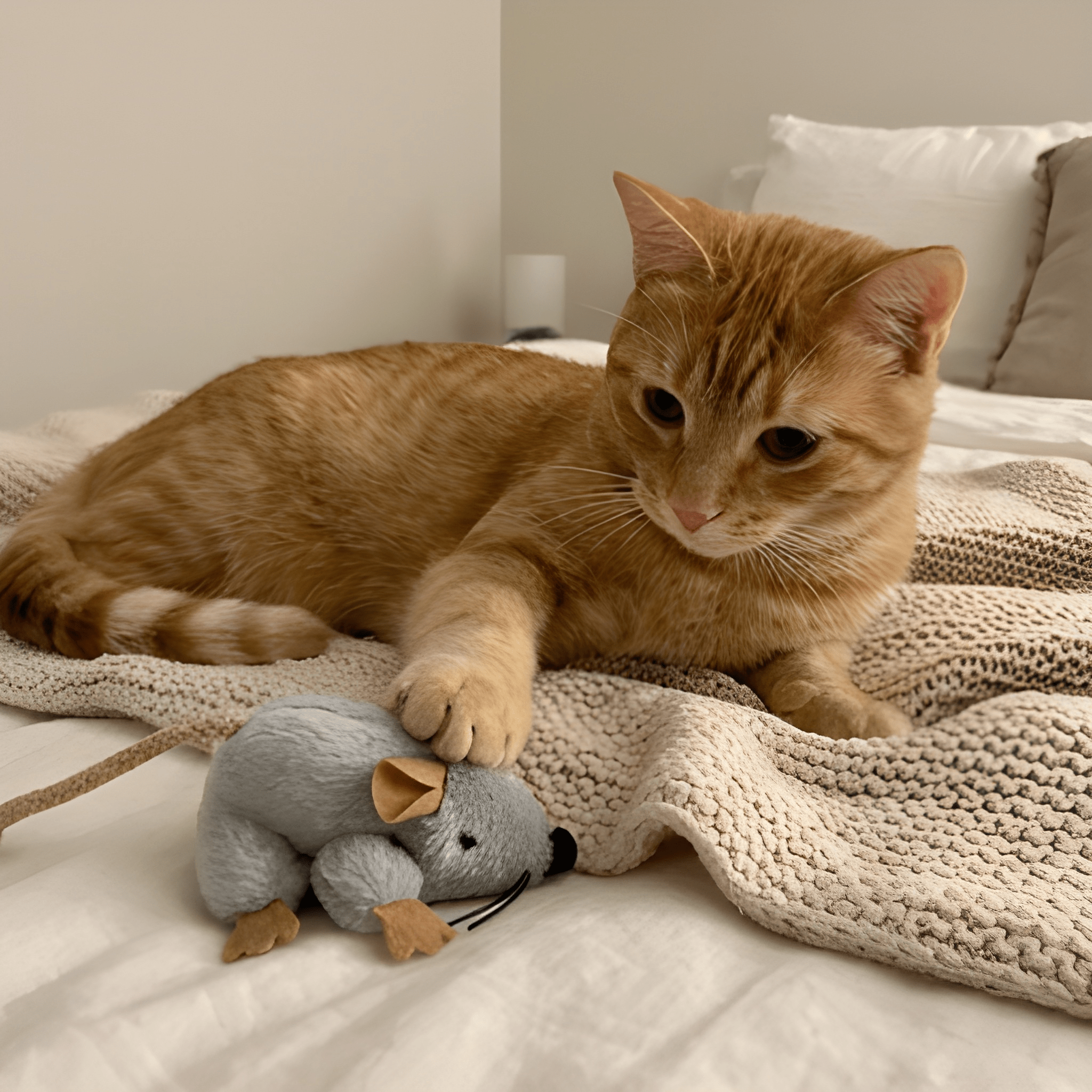 MouseyMotion™